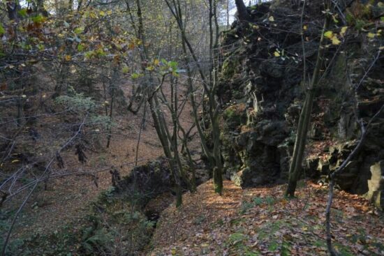 Hrádek u České Břízy