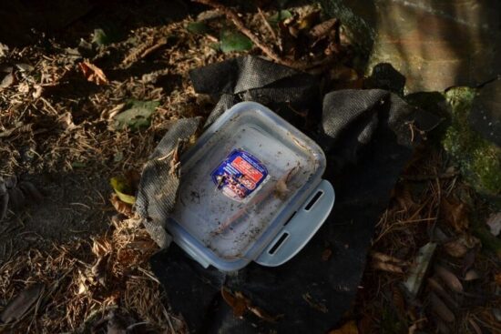 Hrádek u České Břízy