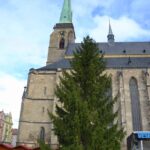 Vánoční strom 2019