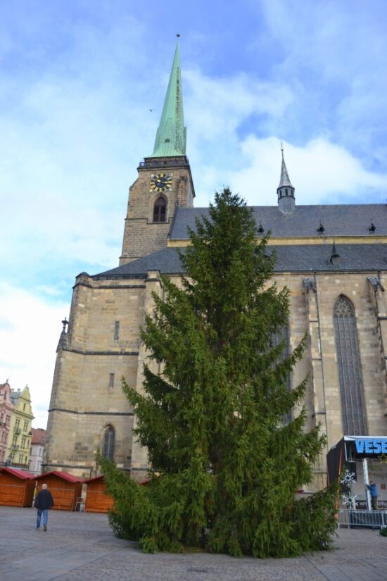 Vánoční strom 2019