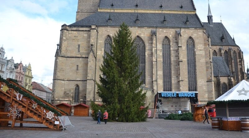 vánoční strom 2019