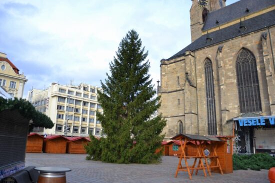 Vánoční strom 2019