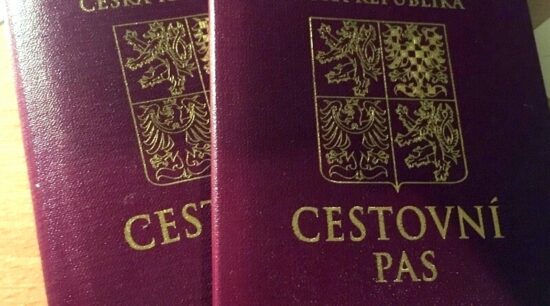 cestovní pasy
