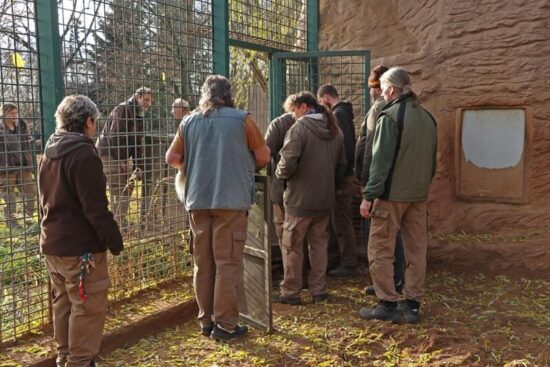 Odvoz Luisy a Baqira do Francie
