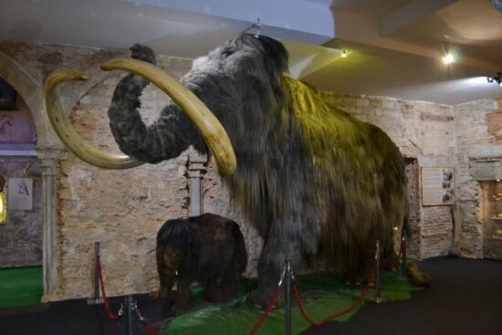 Mamut