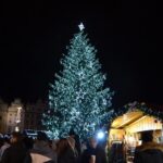 Vánoční strom v Plzni pro rok 2019