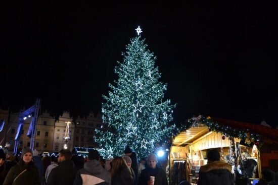 Vánoční strom v Plzni pro rok 2019