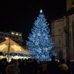 Vánoční strom v Plzni pro rok 2019