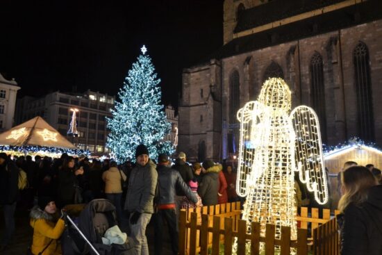 Vánoční strom v Plzni pro rok 2019