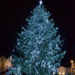 Vánoční strom v Plzni pro rok 2019
