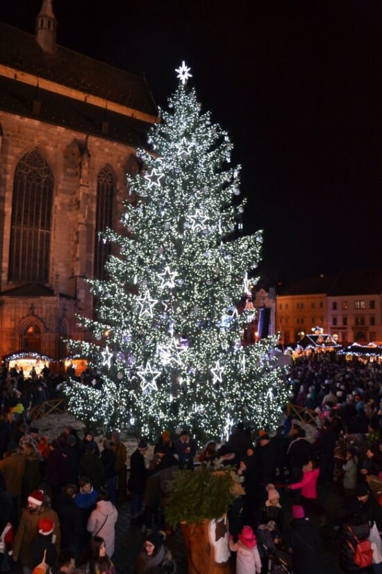 Vánoční strom v Plzni pro rok 2019