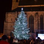 Vánoční strom v Plzni pro rok 2019