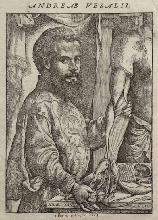 Vesalius položil základy moderní anatomie