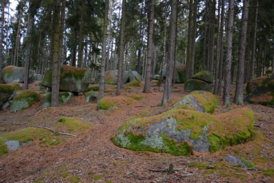 Les je součástí přírodního parku Horní Střela