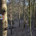 Zřícenina hradu Věžka