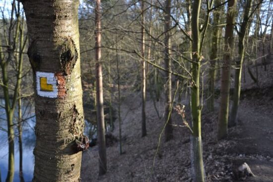 Zřícenina hradu Věžka