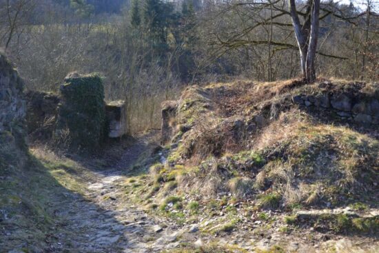 Zřícenina hradu Věžka