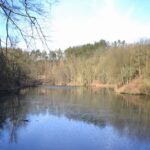 Zřícenina hradu Věžka