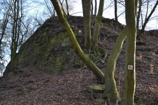 Zřícenina hradu Věžka