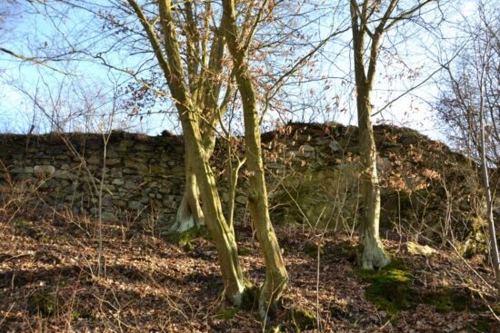 Zřícenina hradu Věžka