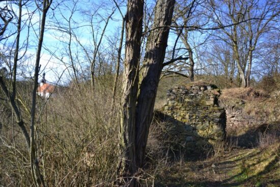 Zřícenina hradu Věžka