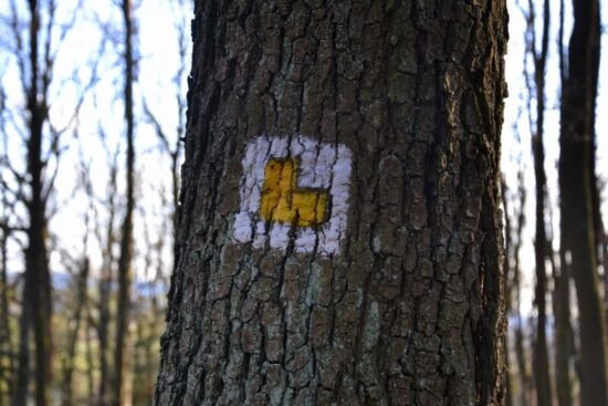 Ke kapli vás nasměruje žlutá značka