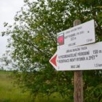 Přírodní rezervace Nový rybník