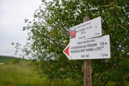 Přírodní rezervace Nový rybník