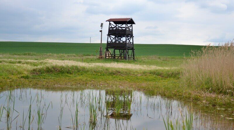 vyhlídková věž Nový rybník