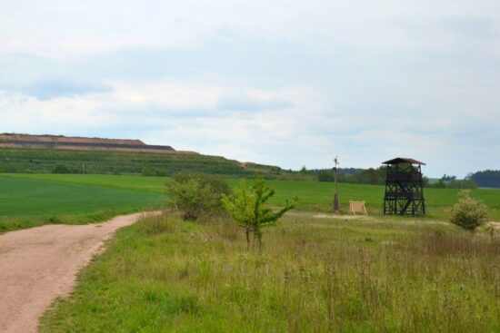 Přírodní rezervace Nový rybník