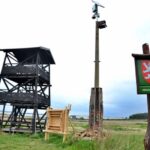 Přírodní rezervace Nový rybník