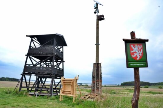 Přírodní rezervace Nový rybník