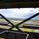 Přírodní rezervace Nový rybník