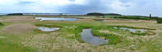 Přírodní rezervace Nový rybník