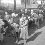 Deportace ruských Židů