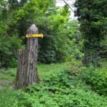 Zřícenina hradu Roupov