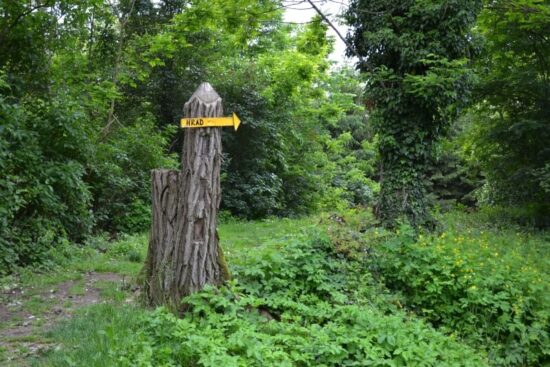 Zřícenina hradu Roupov