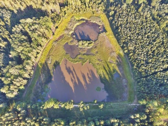 dolní kokotský rybník