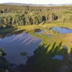 dolní kokotský rybník