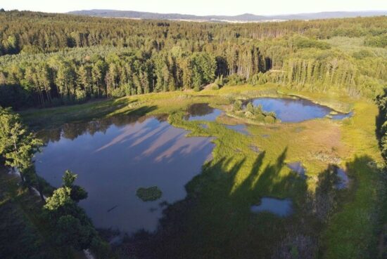 dolní kokotský rybník