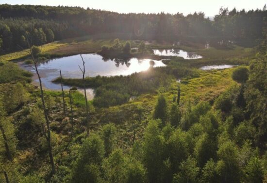 dolní kokotský rybník