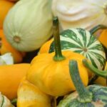 Medový jarmark 2017