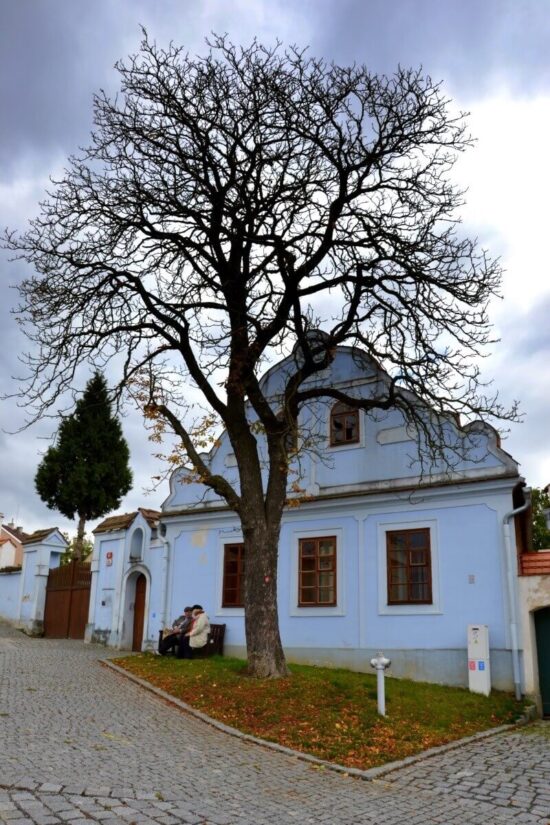 Medový jarmark 2017