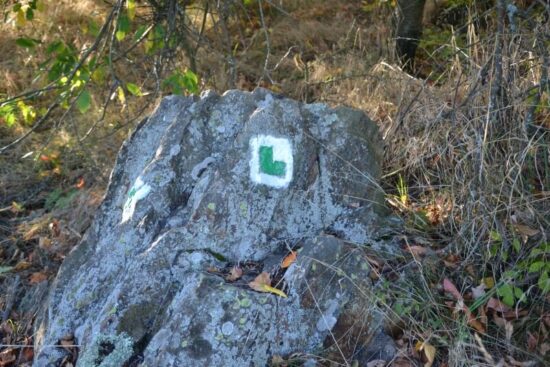 Tvrz Zavlekov - zelená značka