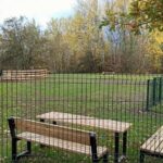 psí louka na borech