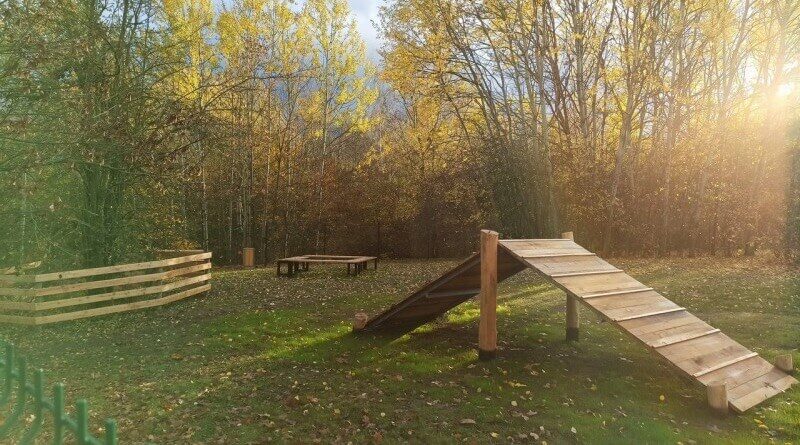 psí louka na borech