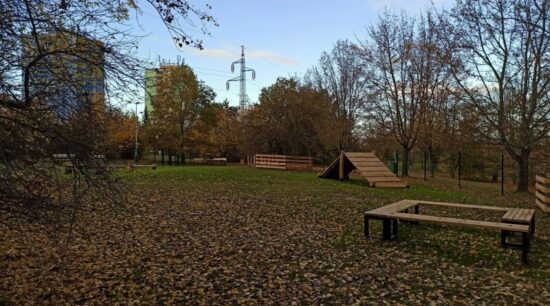 psí louka na borech