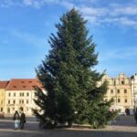 vánoční strom 2020