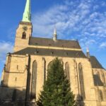 vánoční strom 2020