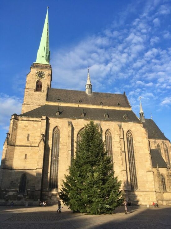 vánoční strom 2020